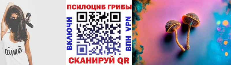 Галлюциногенные грибы мицелий  Горно-Алтайск 
